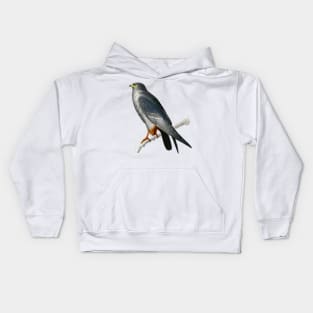 Vintage red-footed falcon bird-animalia clothing Kids Hoodie